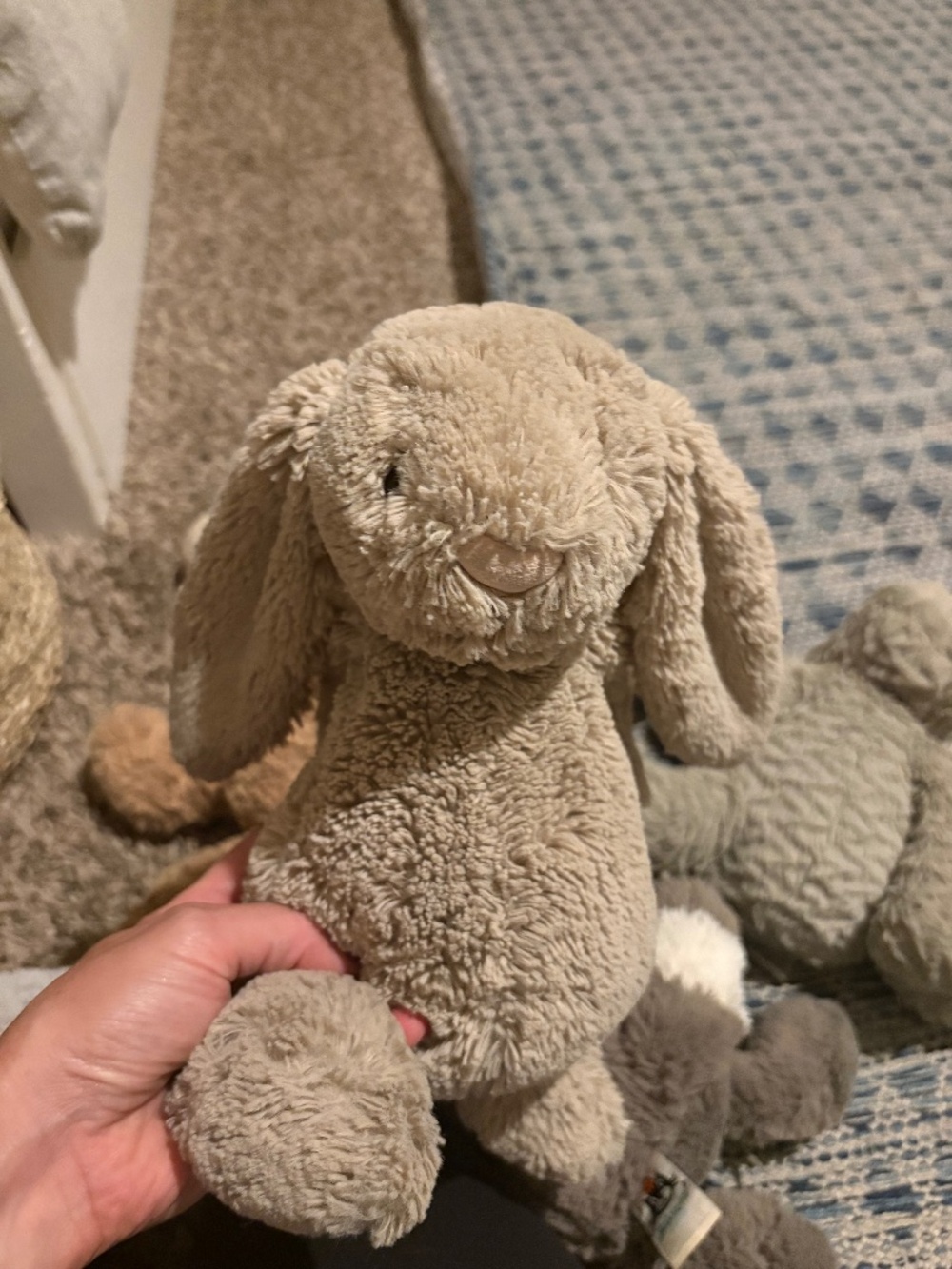 Jellycat bunny stuffed animal